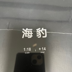 中国車　純正 BYD Build Your Dreams 海豹 ミニカーの画像