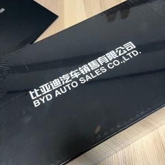 中国車　純正 BYD Build Your Dreams 海豹 ミニカーの画像