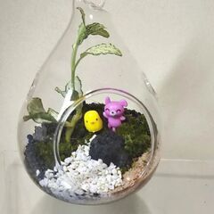 フラワーアレンジメントの画像