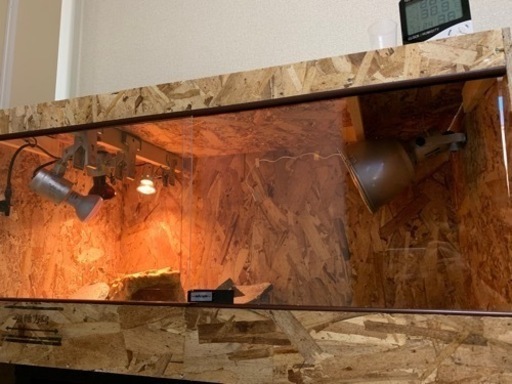 爬虫類飼育セット