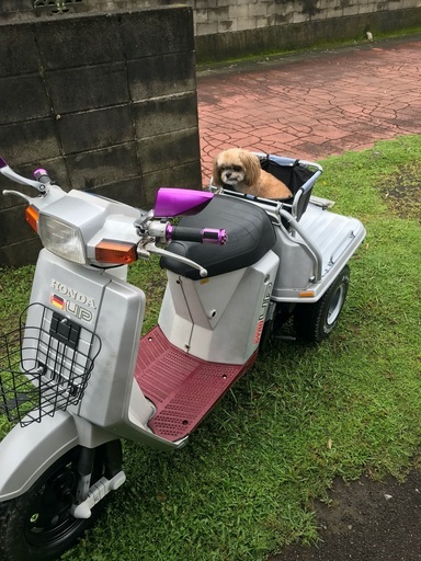 値下げ■ホンダ⭐️ジャイロUPミニカー登録