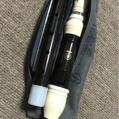 【決定】アルトリコーダーの画像