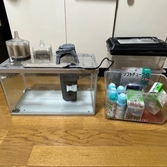 水槽セット　早いもの勝ち　交渉成立