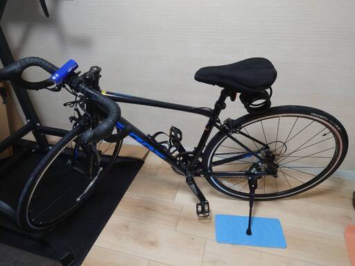 GIANT CONTEND2 2021