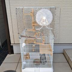 小動物　ケージ　リス　ハムスター　モルモットの画像