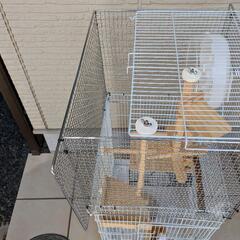 小動物　ケージ　リス　ハムスター　モルモットの画像