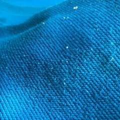 （交渉中）コロンビア Columbia　トレーナー　スウェット　薄手の画像