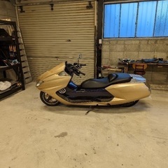 マグザム250 