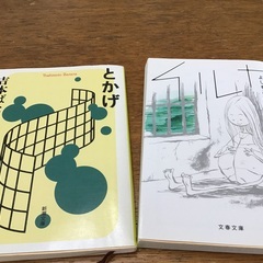 とかげ　　イルカ　　　吉本ばなな
