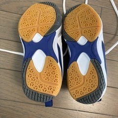 体育館シューズ　22cmの画像