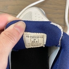 体育館シューズ　22cmの画像