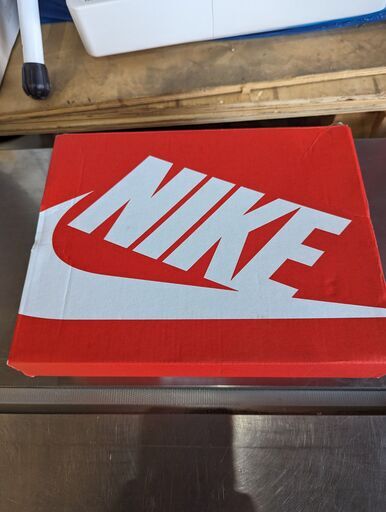 【新品・未使用・箱あり】NIKE ダイナモゴー 20㎝