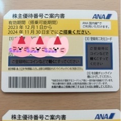 ANA 株主優待券　2024 11月30日までら