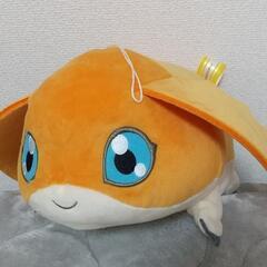 ぬいぐるみ、もらっていただけませんか？の画像