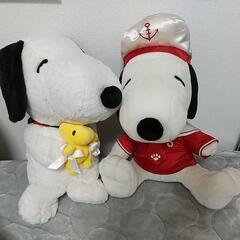 ぬいぐるみ、もらっていただけませんか？の画像