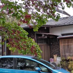 多頭飼いOK！   平屋２棟＋納屋(約８帖）＋土地（宅地で更地）６２坪の一括売り - 不動産売買（マンション/一戸建て）