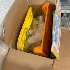 アンパンマンにこにジャングルパークの画像