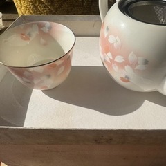 湯のみ、急須、新品未使用品