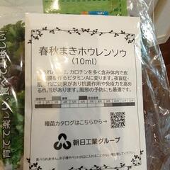 栽培キット　（サボテンなど）の画像