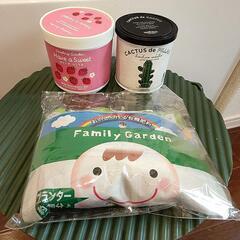 栽培キット　（サボテンなど）