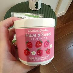 栽培キット　（サボテンなど）の画像