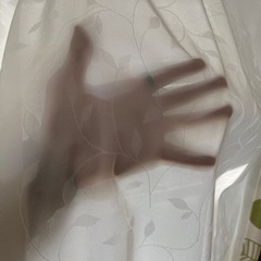 薄手カーテン 約180✖️180cm　　葉っぱの柄の画像