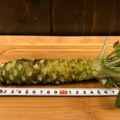 根わさび（鳥取県・関金産）の画像