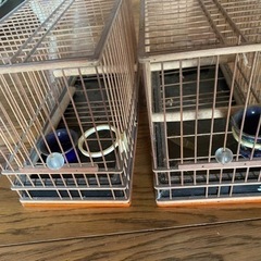 メジロ籠　2点セットの画像