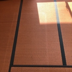 たたみ 6畳分　急募　2月14日までの画像