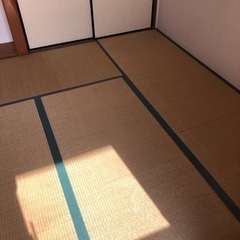 たたみ 6畳分　急募　2月14日までの画像
