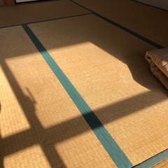 たたみ 6畳分　急募　2月14日までの画像