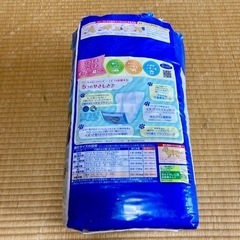 ワンちゃん用マナーウエア　男の子　20枚　Lサイズの画像