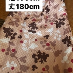 1年使用★ミッキー柄カーテン(2枚セット