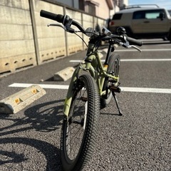 GT STOMPER ACE 20 モスグリーン キッズバイクの画像