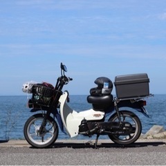 スズキ　バーディ50