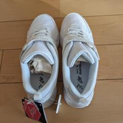 瞬足レモンパイ（未使用品）