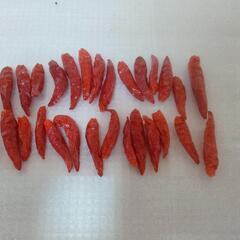 [自家製キムチに]　乾燥唐辛子30本の画像