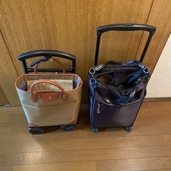 シルバーさんのお買い物キャリー