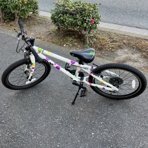 ?キャワ?FROG BIKES フロッグバイクス 20インチ キッズバイク?️キッズ自転車?フロッグ52 股下52cm以上 NO.13
