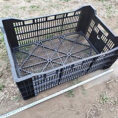 【埼玉引き取り限定】黒コンテナ50個セットの画像