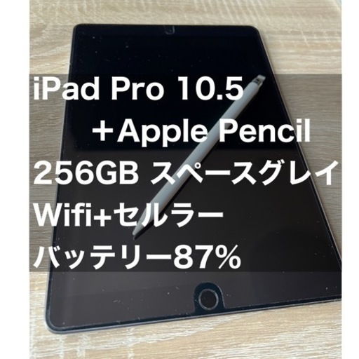 iPad Pro 10.5 256GB スペースグレイ Appl pencil iPad Pro 10.5