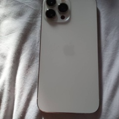 iPhone13ProMax