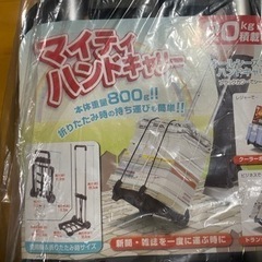 ハンドキャリー(未使用)の画像