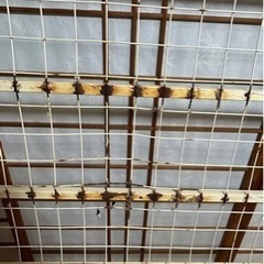 [取引完了]ロフトベッドの画像