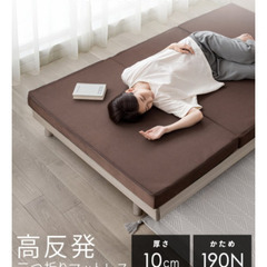アイリスプラザにて購入高反発マットレス