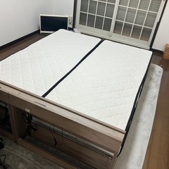 女性オーナークイーンサイズベット