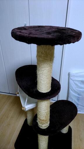 キャットタワー