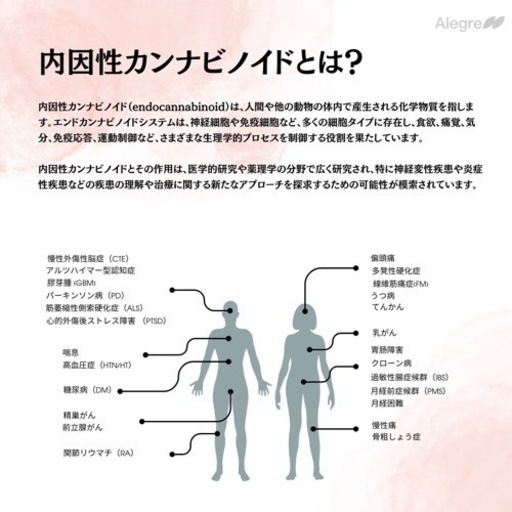 CBDオイル 高濃度 10セト19000新品