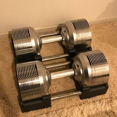 プロバーベル 41.5kg 1.5kg刻み 2個セット 可変式ダンベル シルバー PROVERBELL ライシン Lysin