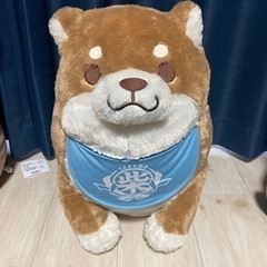 ぬいぐるみ 柴